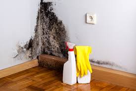 Lancaster, CA Mold Removal & Remediation Company